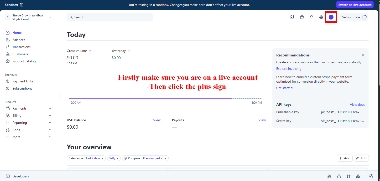 Part 2 — creating your payment link